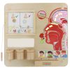 MASTERKIDZ-Tablica-Edukacyjna-Zmysl-Wechu-Montessori-1