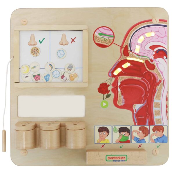 MASTERKIDZ-Tablica-Edukacyjna-Zmysl-Wechu-Montessori-1 MASTERKIDZ-Tablica-Edukacyjna-Zmysl-Wechu-Montessori-1