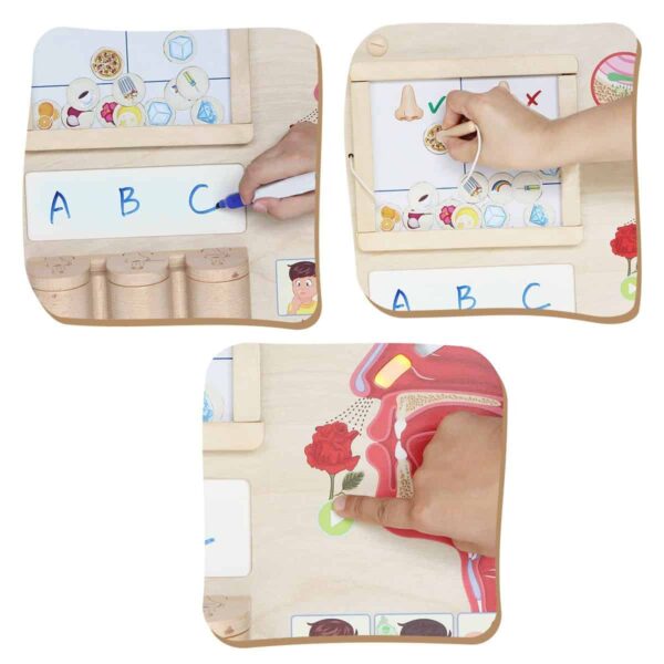 MASTERKIDZ-Tablica-Edukacyjna-Zmysl-Wechu-Montessori-2 MASTERKIDZ-Tablica-Edukacyjna-Zmysl-Wechu-Montessori-2
