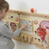 MASTERKIDZ-Tablica-Edukacyjna-Zmysl-Wechu-Montessori-6