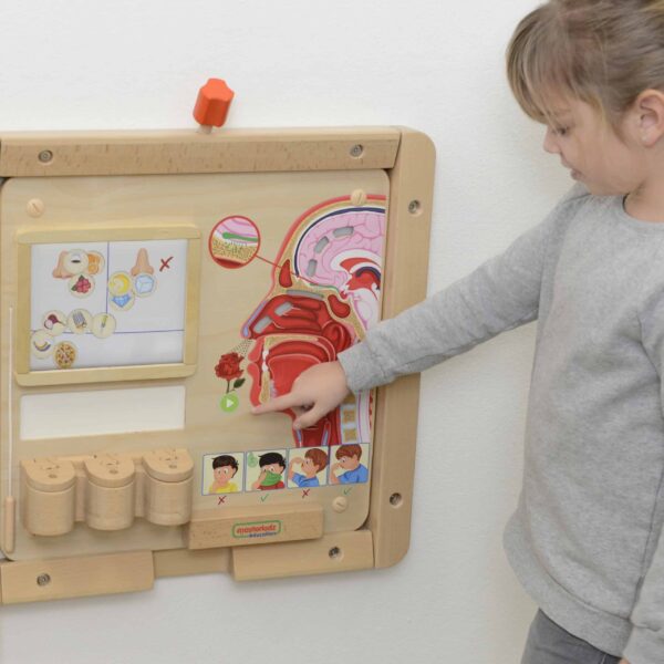 MASTERKIDZ-Tablica-Edukacyjna-Zmysl-Wechu-Montessori-7 MASTERKIDZ-Tablica-Edukacyjna-Zmysl-Wechu-Montessori-7