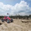 BERG-Gokart-na-Pedaly-XL-Case-IH-BFR-1
