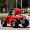 FEBER-Quad-na-Akumulator-6V-Racy-2