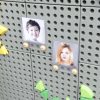 MASTERKIDZ-Przezroczysta-Kieszonka-Na-Zdjecia-Karty-Etui-6-szt-2