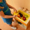Realistyczne-Owoce-Zestaw-Do-Kuchni-10-Elementow-Masterkidz-4