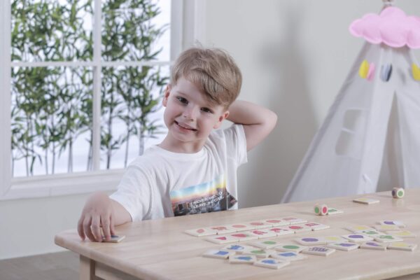 VIGA-Gra-Edukacyjna-Drewniana-Ukladanka-Sortuj-Dopasuj-Kolory-i-Ksztalty-38-el.-Montessori-3 VIGA-Gra-Edukacyjna-Drewniana-Ukladanka-Sortuj-Dopasuj-Kolory-i-Ksztalty-38-el.-Montessori-3