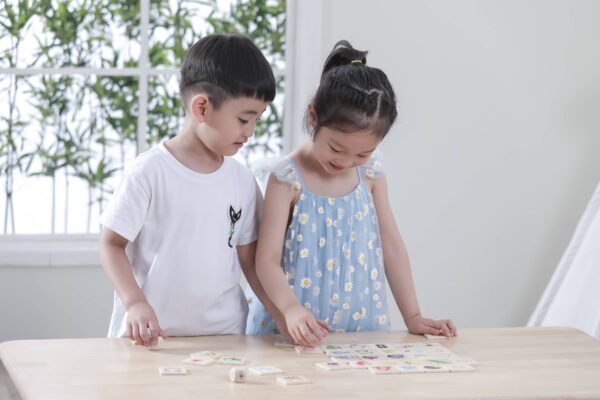VIGA-Gra-Edukacyjna-Ukladanka-Uczaca-Sortuj-Zmysly-37-el.-Montessori-1 VIGA-Gra-Edukacyjna-Ukladanka-Uczaca-Sortuj-Zmysly-37-el.-Montessori-1
