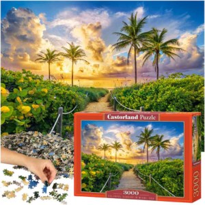 CASTORLAND Puzzle 3000 elementów Colorful Sunrise in Miami
