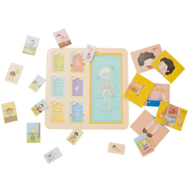 CLASSIC-WORLD-Tablica-Edukacyjna-Cialo-Ludzkie-Ukladanka-Klocki-Puzzle-dla-Dzieci-Dopasuj-MONTESSORI-19-el-5 CLASSIC-WORLD-Tablica-Edukacyjna-Cialo-Ludzkie-Ukladanka-Klocki-Puzzle-dla-Dzieci-Dopasuj-MONTESSORI-19-el-5