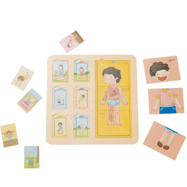 CLASSIC-WORLD-Tablica-Edukacyjna-Cialo-Ludzkie-Ukladanka-Klocki-Puzzle-dla-Dzieci-Dopasuj-MONTESSORI-19-el-6 CLASSIC-WORLD-Tablica-Edukacyjna-Cialo-Ludzkie-Ukladanka-Klocki-Puzzle-dla-Dzieci-Dopasuj-MONTESSORI-19-el-6