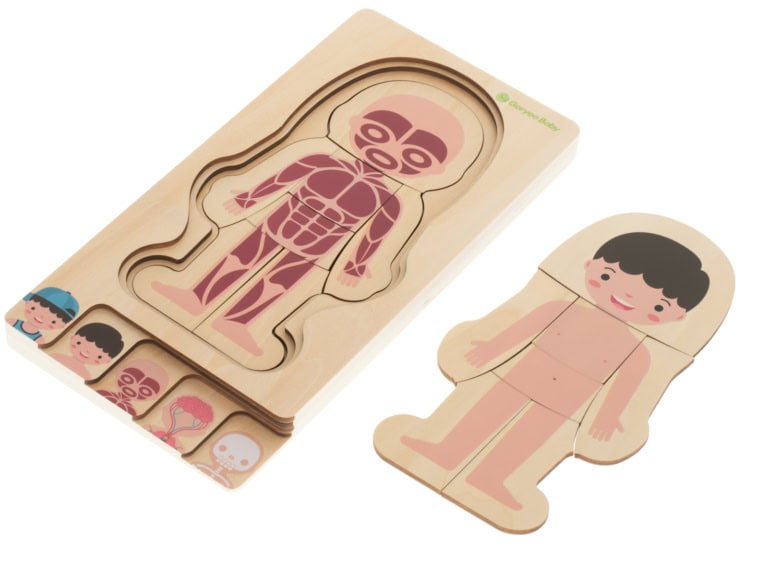 Puzzle-drewniane-warstwowe-budowa-ciala-montessori-chlopiec-2 Puzzle-drewniane-warstwowe-budowa-ciala-montessori-chlopiec-2