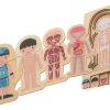 Puzzle-drewniane-warstwowe-budowa-ciala-montessori-chlopiec-3