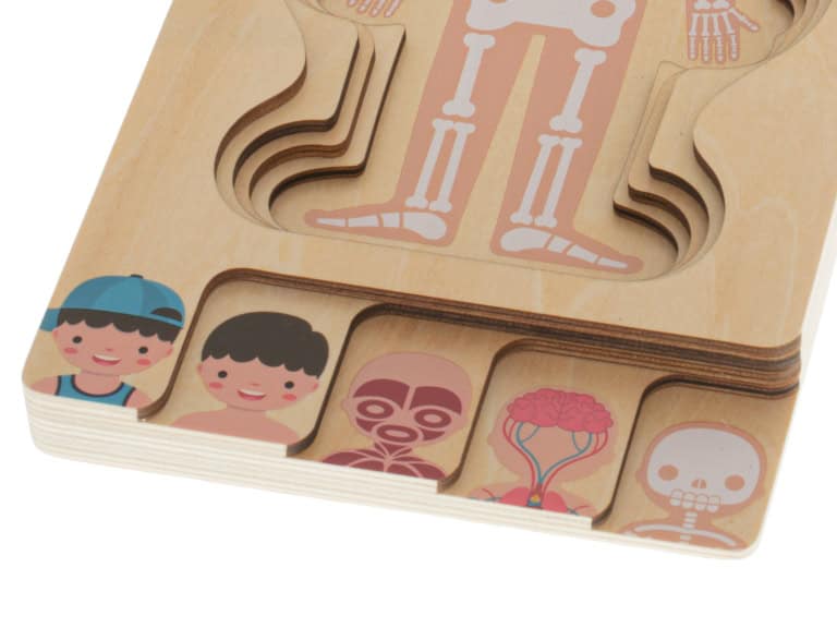 Puzzle-drewniane-warstwowe-budowa-ciala-montessori-chlopiec-4 Puzzle-drewniane-warstwowe-budowa-ciala-montessori-chlopiec-4