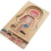 Puzzle-drewniane-warstwowe-budowa-ciala-montessori-chlopiec-5