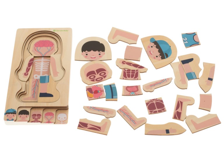 Puzzle-drewniane-warstwowe-budowa-ciala-montessori-chlopiec-6 Puzzle-drewniane-warstwowe-budowa-ciala-montessori-chlopiec-6
