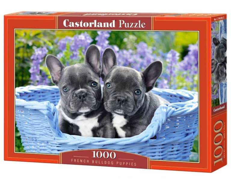 Puzzle-ukladanka-1000-elementow-Buldogi-francuskie-68-x-47-cm-CASTORLAND-2 Puzzle-ukladanka-1000-elementow-Buldogi-francuskie-68-x-47-cm-CASTORLAND-2