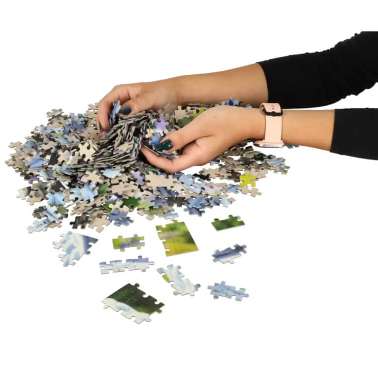Puzzle-ukladanka-1000-elementow-Buldogi-francuskie-68-x-47-cm-CASTORLAND-3 Puzzle-ukladanka-1000-elementow-Buldogi-francuskie-68-x-47-cm-CASTORLAND-3