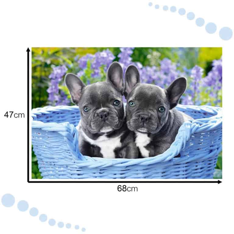 Puzzle-ukladanka-1000-elementow-Buldogi-francuskie-68-x-47-cm-CASTORLAND-4 Puzzle-ukladanka-1000-elementow-Buldogi-francuskie-68-x-47-cm-CASTORLAND-4