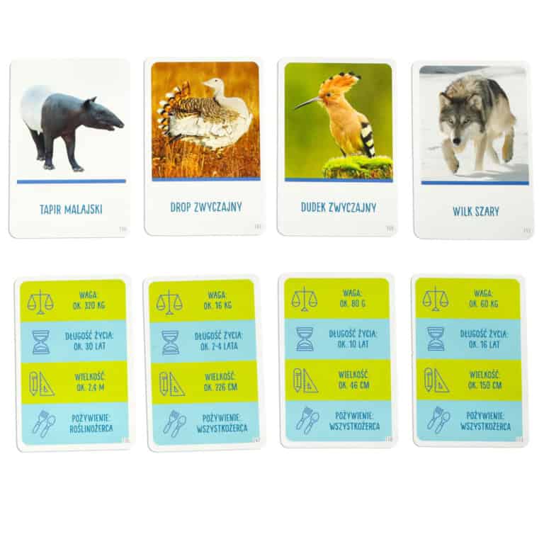 Gra-edukacyjna-Na-tropie-gra-dla-ciekawskich-8-MULTIGRA-3 Gra-edukacyjna-Na-tropie-gra-dla-ciekawskich-8-MULTIGRA-3