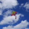 Latawiec-duzy-90cm-motyl-fioletowy-4