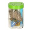 Hodowla-dinozaurow-terrarium-projektor-z-lampka-nocna-LED-1