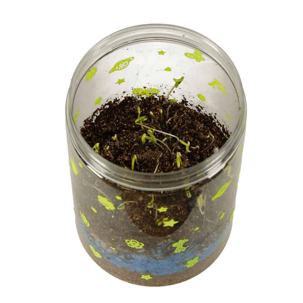 Hodowla-dinozaurow-terrarium-projektor-z-lampka-nocna-LED-9 Hodowla-dinozaurow-terrarium-projektor-z-lampka-nocna-LED-9