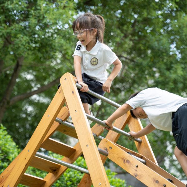 CLASSIC-WORLD-EDU-Drewniany-Plac-Zabaw-XL-Zestaw-Drabinka-Montessori-do-Wspinaczki-4 CLASSIC-WORLD-EDU-Drewniany-Plac-Zabaw-XL-Zestaw-Drabinka-Montessori-do-Wspinaczki-4