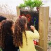 CLASSIC-WORLD-EDU-Zestaw-Doswiadczalny-Edukacyjny-do-Uprawy-3