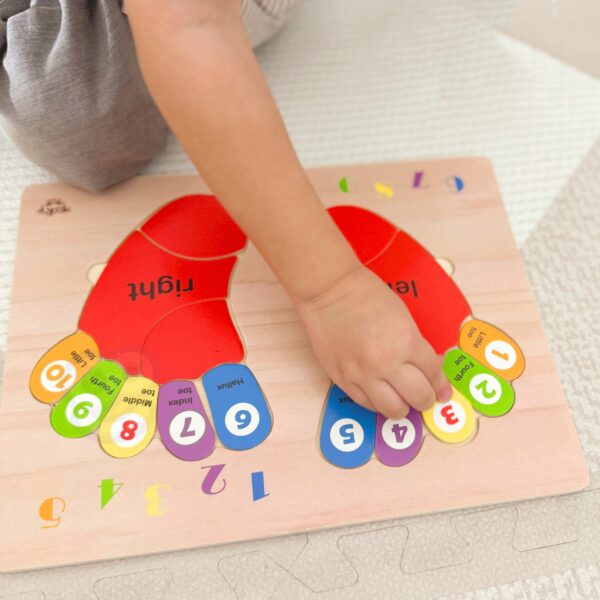 TOOKY-TOY-Edukacyjna-Drewniana-Ukladanka-Stopy-Nauka-Liczenia-i-Kolorow-5 TOOKY-TOY-Edukacyjna-Drewniana-Ukladanka-Stopy-Nauka-Liczenia-i-Kolorow-5