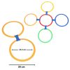 WOOPIE-Zestaw-do-Gry-w-Klasy-do-Skakania-Pierscienie-Obrecze-10-szt-5